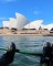 "We're on the ferry, headed to the zoo."