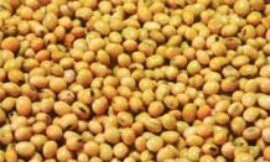 Commodity picks: November 11, 2019