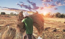 NCDEX ties up with NSE Indices to launch AGRIDEX, India’s first agri index