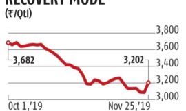 Paddy prices staging modest recovery after hitting rock bottom