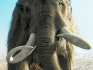 How Caveman Hunted Mammoths Revealed And Hollywood Is Wrong – The Headlines