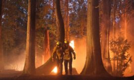 Fire Country Spinoff With Supernatural Star On The Way – The Headlines