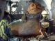 Jabba The Hutt Origin Reveals He Wasn’t Always A Slug – The Headlines