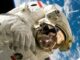 Incompatible Space Suits Thwart Rescue Of Stranded Astronauts – The Headlines