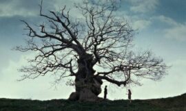 Peacock Losing The Biggest Fantasy Franchise – The Headlines