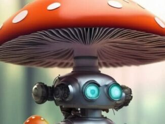 Mushrooms Used To Create Biohybrid Robots Of The Future – The Headlines