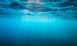 Extreme Ocean Temperature Drop Puzzling Scientists – The Headlines