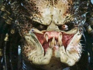 The Star Trek Heroes Most Likely To Survive Predator – The Headlines