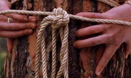 Kinky Romance Featuring Marvel and DC Stars, Stream On Tubi – The Headlines