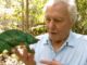 Sir David Attenborough Isn’t Done Yet – The Headlines