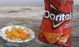 Doritos Ingredient Turns Mice Transparent – The Headlines