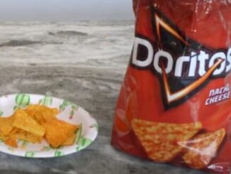 Doritos Ingredient Turns Mice Transparent – The Headlines