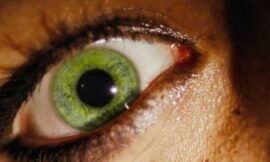 One Of The Greatest Horror Movies Ever Made Is A Modern Classic Streaming On Amazon – The Headlines