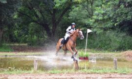 Indian sports wrap, September 10: EFI announces selection trials for Jumping Children’s Classics – The Headlines