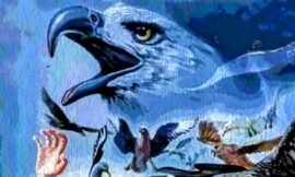 First Ever Image Of Lost Bird Of Prey Captured – The Headlines