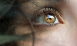 First Successful Human Eye Transplant Performed – The Headlines