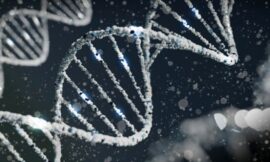 9,000 Years Of Human History Revealed By DNA Discovery – The Headlines