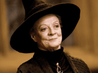 Harry Potter Stars Post Heartwarming Tributes To Maggie Smith – The Headlines