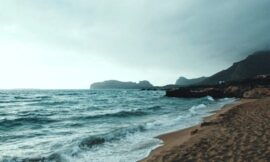 White Blobs Washing Up On Shore Are A Total Mystery – The Headlines