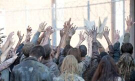 Scientists Keep Brains Alive After Death In New Study That Definitely Won’t Start A Zombie Apocalypse – The Headlines