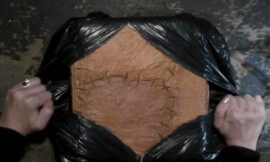 The Best Parody Movies Are Coming Back With Original Creators – The Headlines