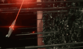 The Missed Opportunity That Denied Us A Perfect Star Trek Season – The Headlines