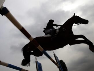 Indian sports wrap, December 24: Lakdawala triumphs in Young Rider showjumping at Jr National Equestrian C’ship – The Headlines