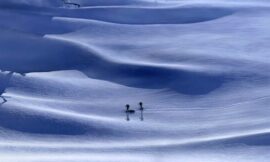 It Always Looks A Lot Like Christmas In Apocalyptic Sci-Fi Thriller On Disney+ – The Headlines