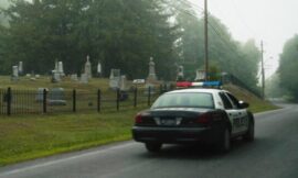 Netflix Bizarre Zombie Comedy Is Now A Top 10 Hit – The Headlines