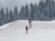 Khelo India Winter Games 2025: 428 athletes from 19 teams to take part in five-day meet – The Headlines