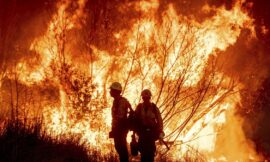 California Wildfires: Los Angeles Lakers vs Charlotte Hornets postponed due to catastrophic fire – The Headlines