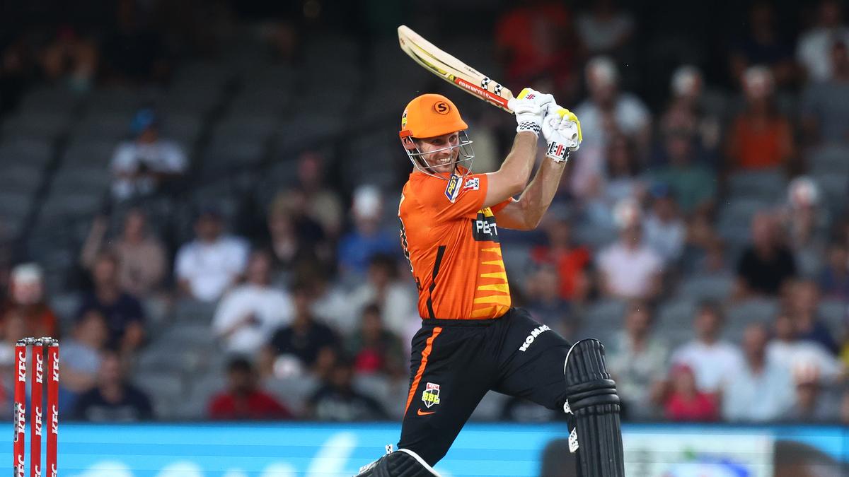 Australia’s Border-Gavaskar Trophy-winning team members set to feature in Big Bash League: Full list of players, details – The Headlines