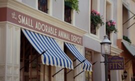 Netflix Fan-Favorite Comedy Series Is Your Perfect New Year Start – The Headlines