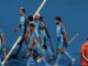 Hockey India announces free tickets for FIH Pro League 2024-25 matches in Bhubaneswar – The Headlines