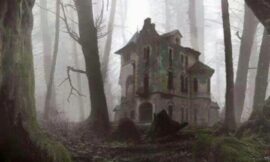 Internet Meme Takes On Disturbing Life Of Its Own In Max True Crime Documentary – The Headlines