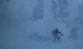 1990s Stephen King Adaptation Is A Timeless Classic Streaming For Free – The Headlines