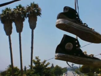 The Ultimate Slacker Comedy Now Streaming On Netflix – The Headlines