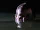 Alfred Hitchcock Made An X-Files Finale Even Better – The Headlines