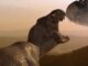 90s Sci-Fi Adventure Series Brought Classic Novel To Life, Stream For Free On Tubi – The Headlines