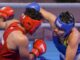 Interim committee holds first meeting to get Indian boxing back on track – The Headlines