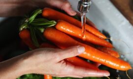 What’s the ideal IPL diet – The Headlines