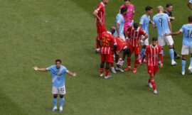 Club World Cup 2025: Animal-rights protester runs onto field with anti-Morocco message – The Headlines