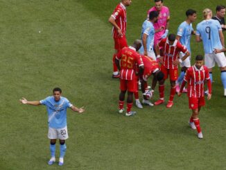 Club World Cup 2025: Animal-rights protester runs onto field with anti-Morocco message – The Headlines