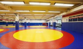 Indian sports wrap, July 20: India’s Priya Malik wins silver in Budapest Ranking Series – The Headlines