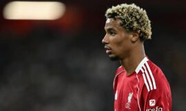 World Cup qualifiers: Ekitike handed first France call-up after Cherki injury – The Headlines