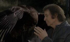 The Guilty Pleasure Doesn’t Exist If You Actually Love Movies – The Headlines