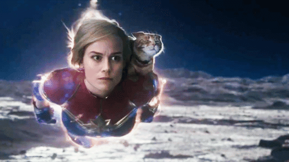 88% Of College Students Are Lying About Their Beliefs, And They Fooled Hollywood Into Making Terrible Movies – The Headlines