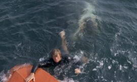 Predator: Badlands Director Is Wrong About Jaws – The Headlines