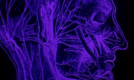 The Perfect ’80s Sci-Fi Horror Comedy Gets A 4K Restoration That Needs To Be On Streaming – The Headlines