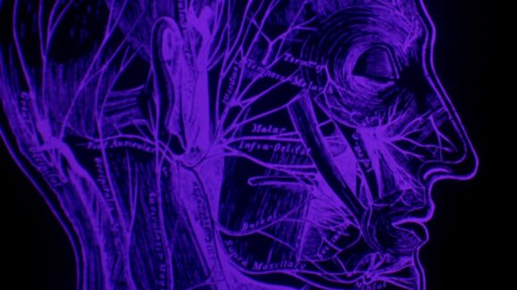 The Perfect ’80s Sci-Fi Horror Comedy Gets A 4K Restoration That Needs To Be On Streaming – The Headlines